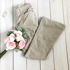 Taupe Bootlegs Corduroy Size 5